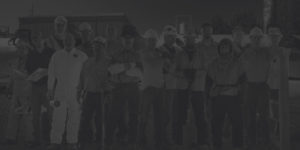 Bolin Employees